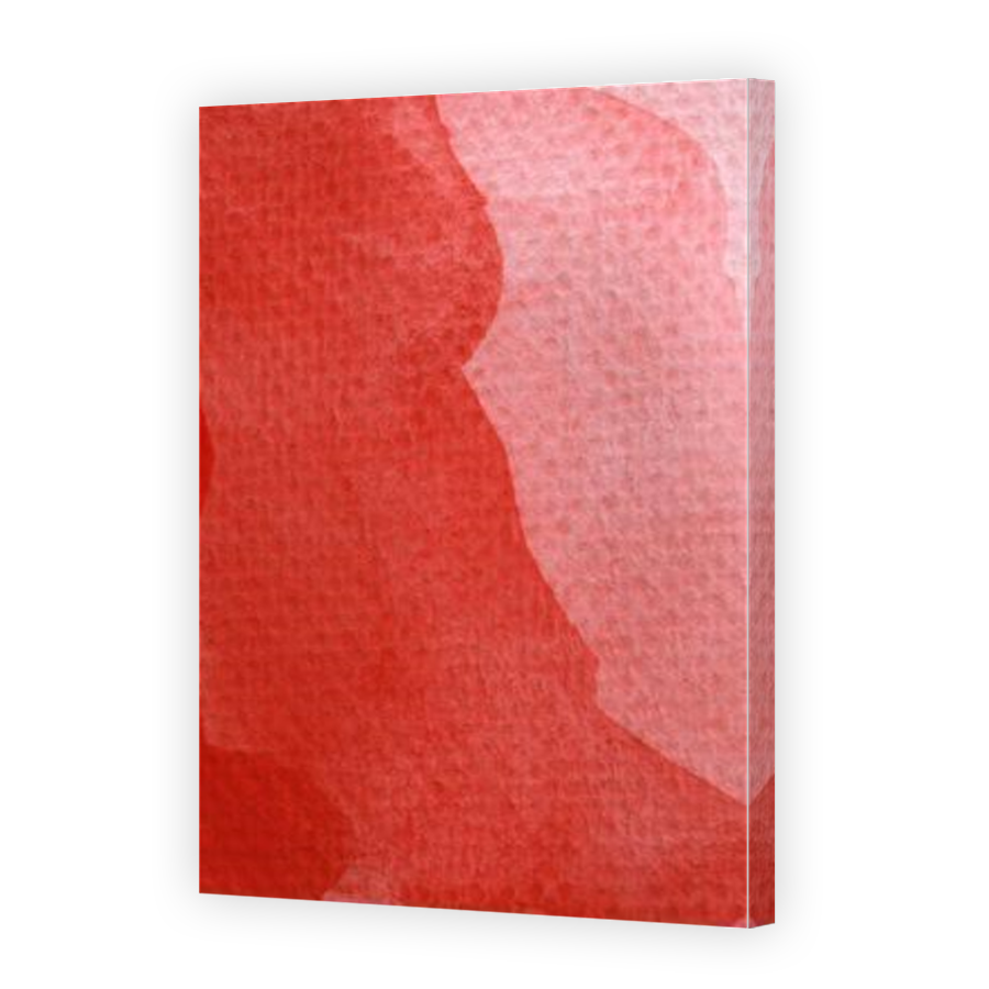 Thumbnail for Canvas - Mirror Image Canvas Wrap