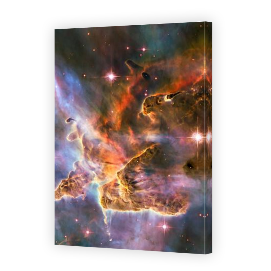 Thumbnail for Canvas - Mirror Image Canvas Wrap