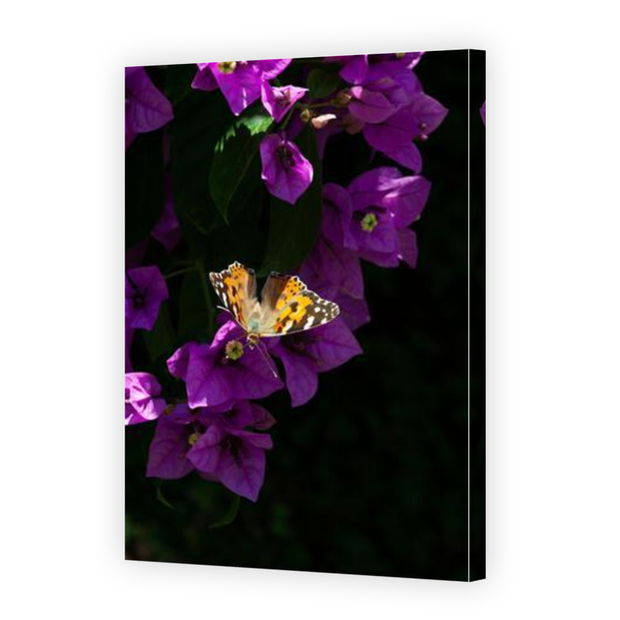 Thumbnail for Canvas - Mirror Image Canvas Wrap