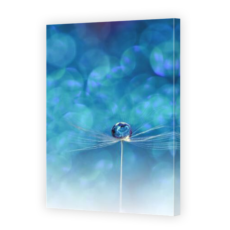 Thumbnail for Canvas - Mirror Image Canvas Wrap
