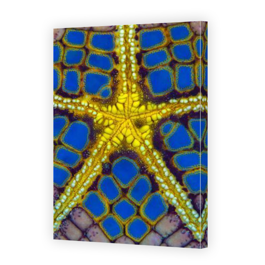 Thumbnail for Canvas - Mirror Image Canvas Wrap