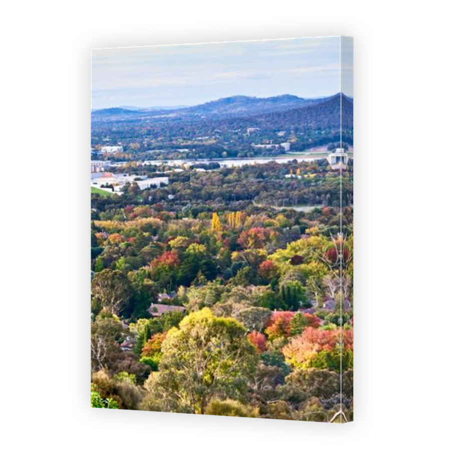 Thumbnail for Canvas - Mirror Image Canvas Wrap