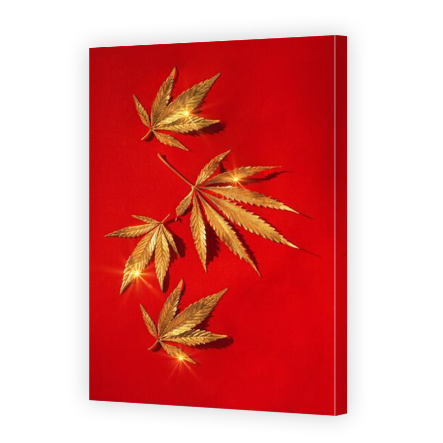 Thumbnail for Canvas - Mirror Image Canvas Wrap