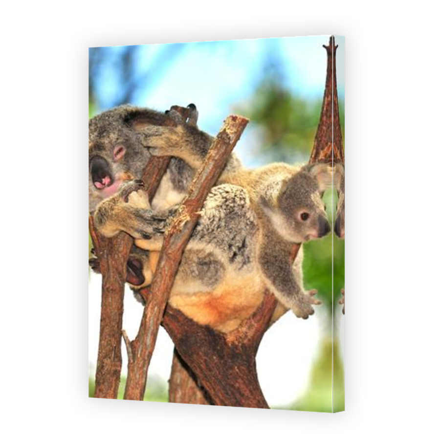 Thumbnail for Canvas - Mirror Image Canvas Wrap