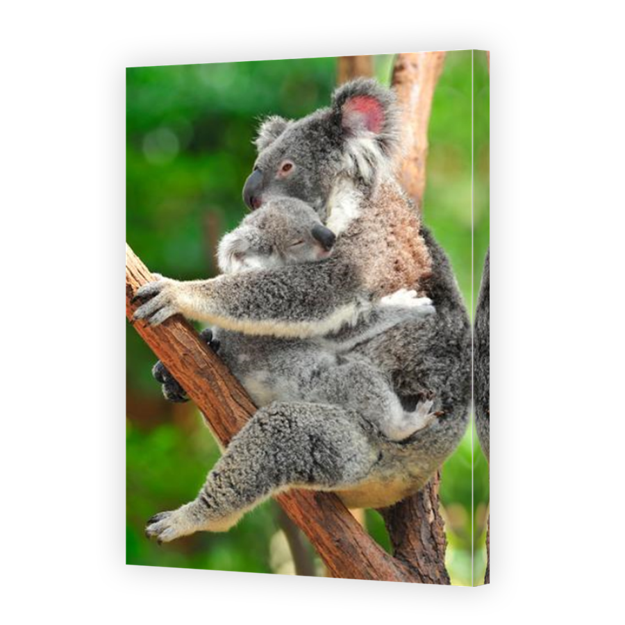 Thumbnail for Canvas - Mirror Image Canvas Wrap
