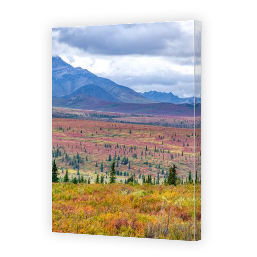 Thumbnail for Canvas - Mirror Image Canvas Wrap