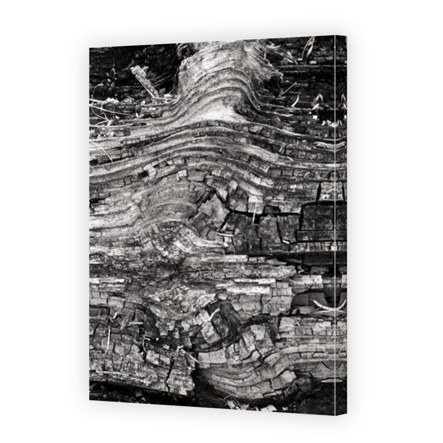 Thumbnail for Canvas - Mirror Image Canvas Wrap