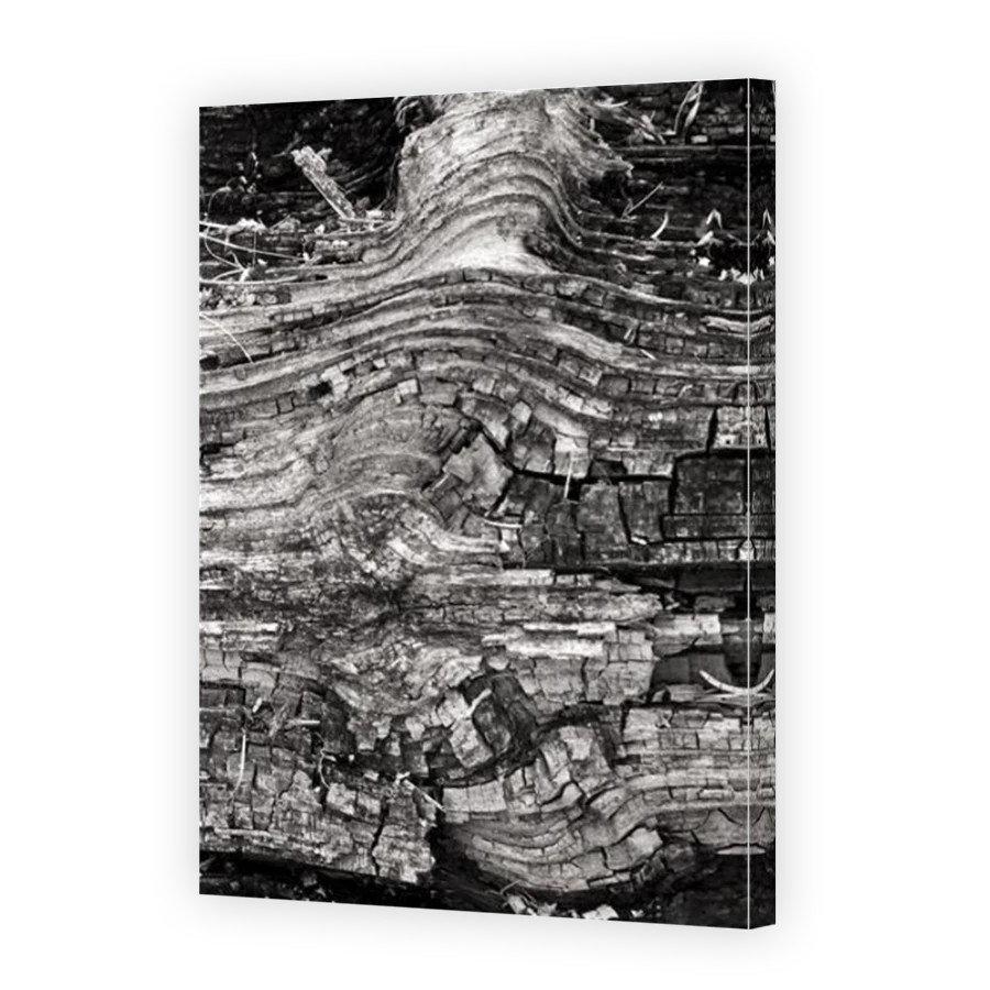 Thumbnail for Canvas - Mirror Image Canvas Wrap