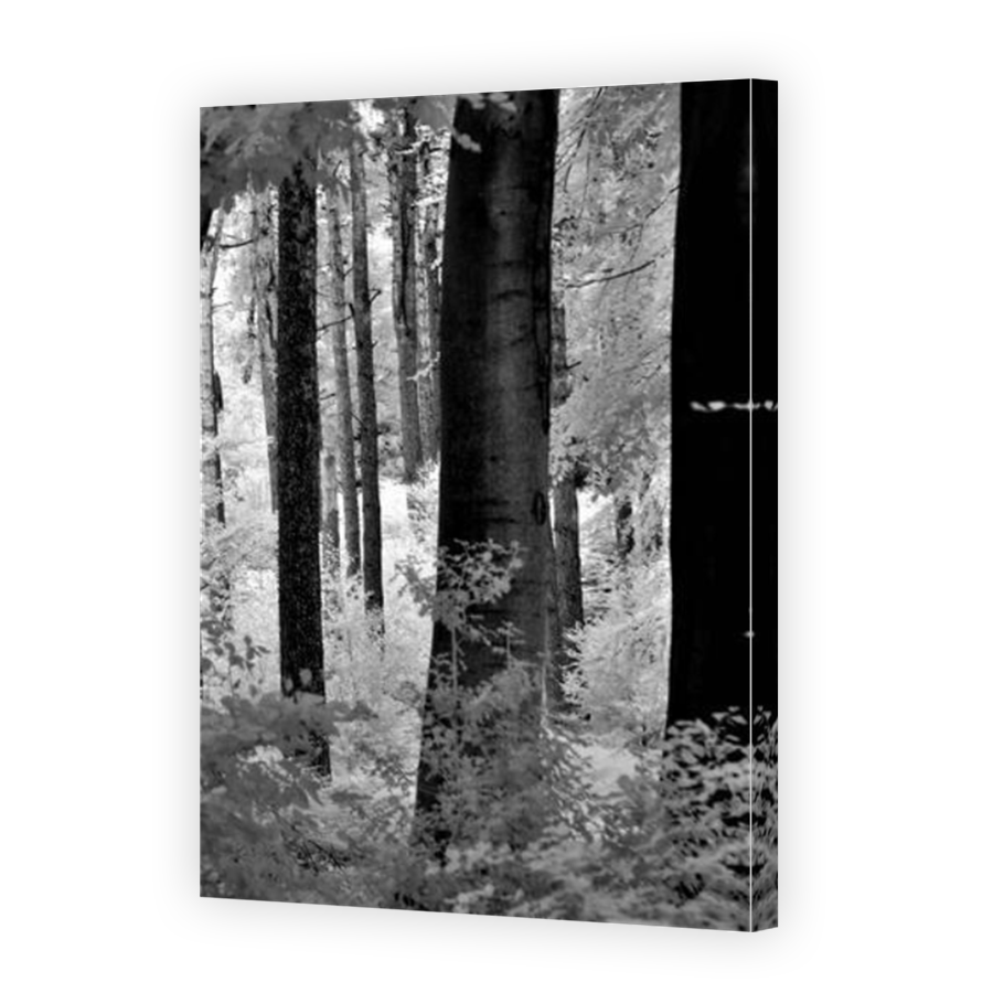 Thumbnail for Canvas - Mirror Image Canvas Wrap