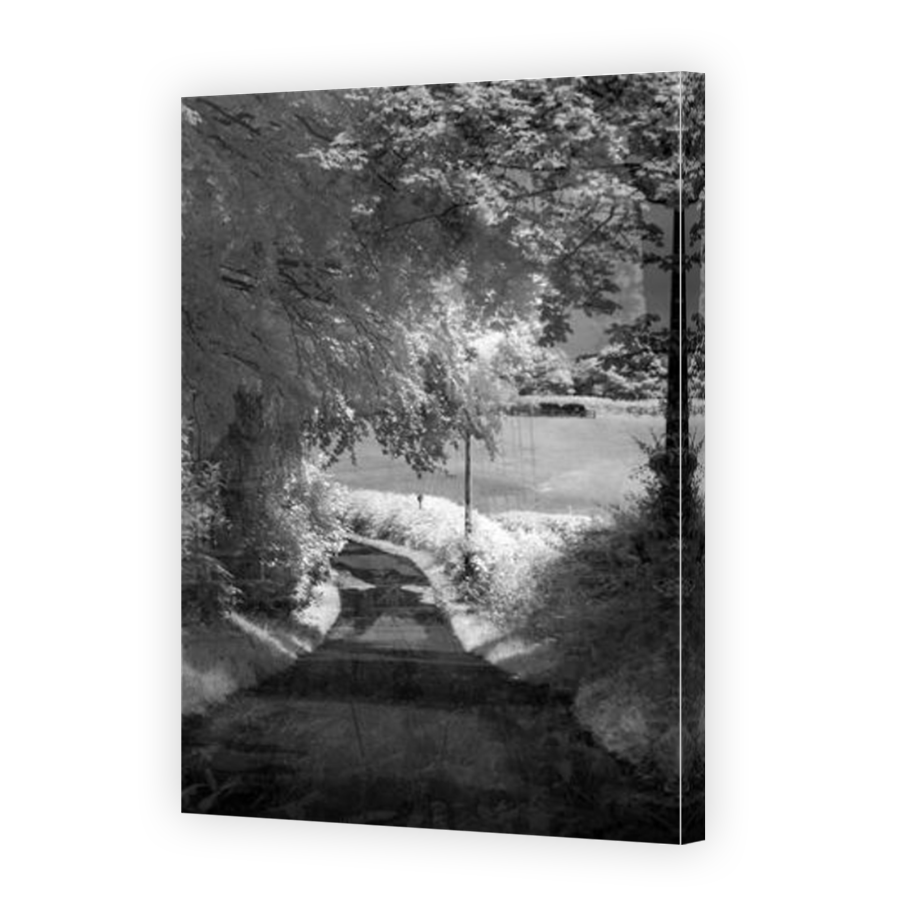 Thumbnail for Canvas - Mirror Image Canvas Wrap