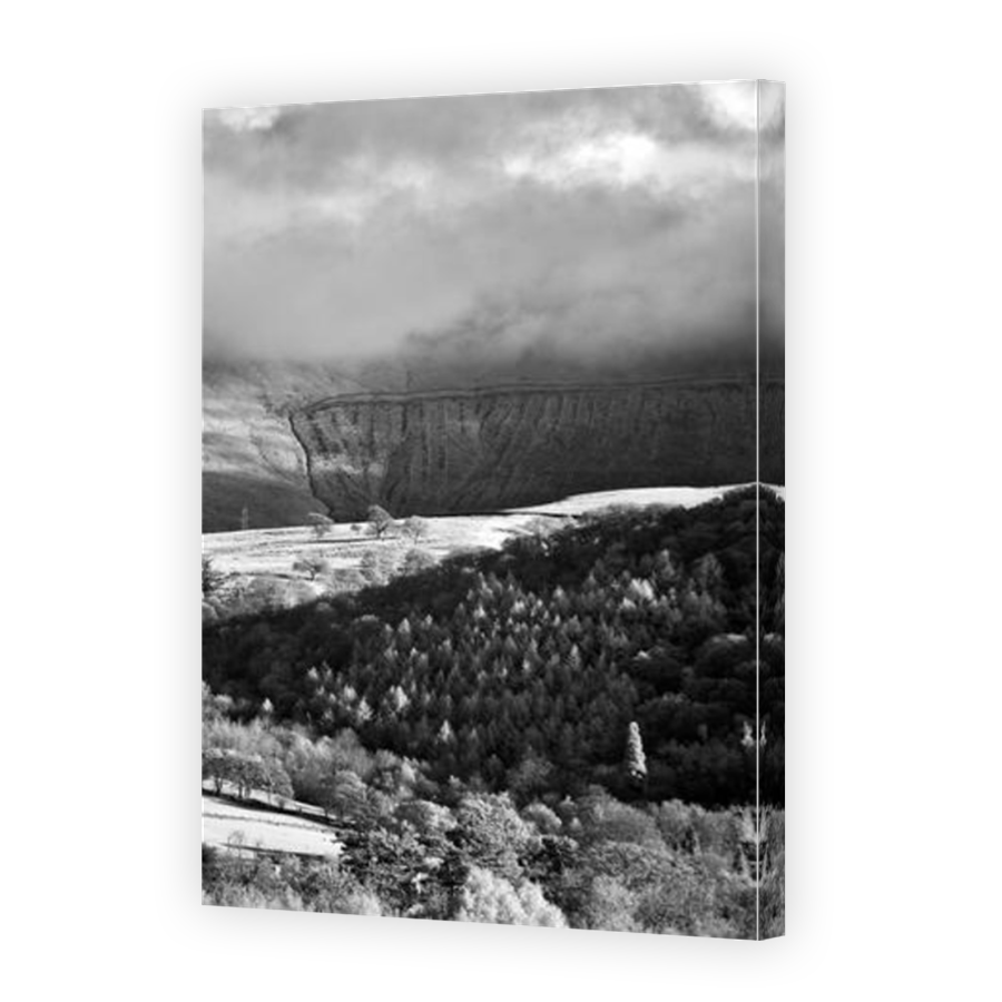 Thumbnail for Canvas - Mirror Image Canvas Wrap