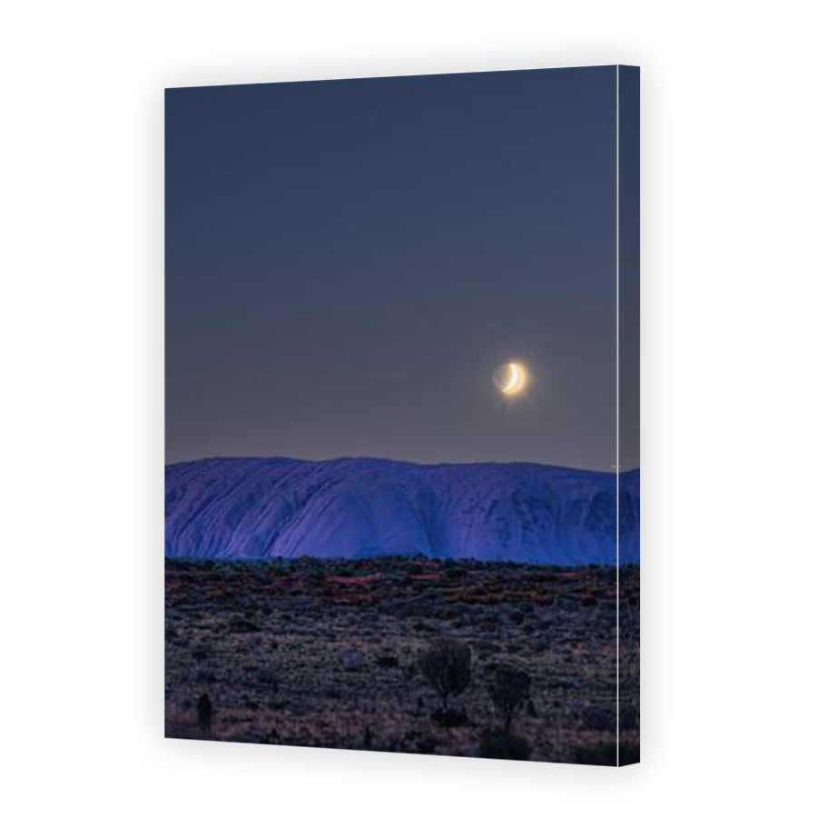 Thumbnail for Canvas - Mirror Image Canvas Wrap