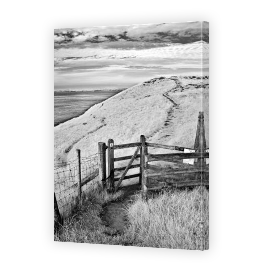 Thumbnail for Canvas - Mirror Image Canvas Wrap