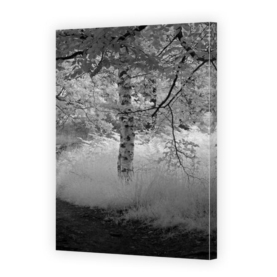 Thumbnail for Canvas - Mirror Image Canvas Wrap