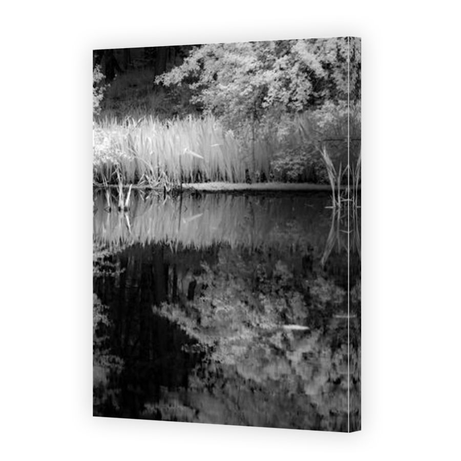 Thumbnail for Canvas - Mirror Image Canvas Wrap