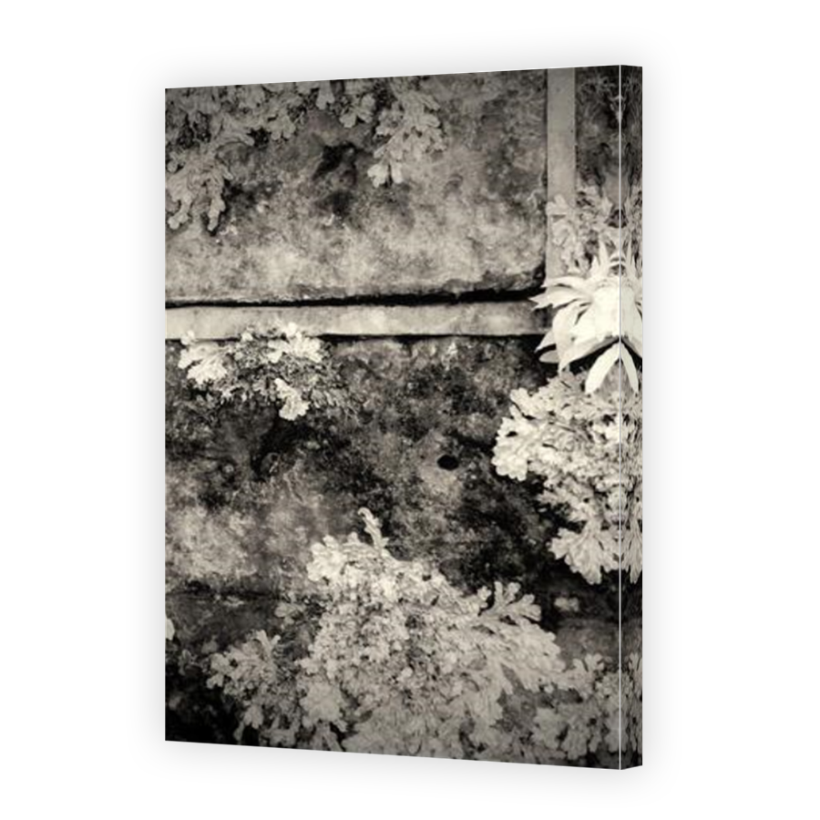 Thumbnail for Canvas - Mirror Image Canvas Wrap
