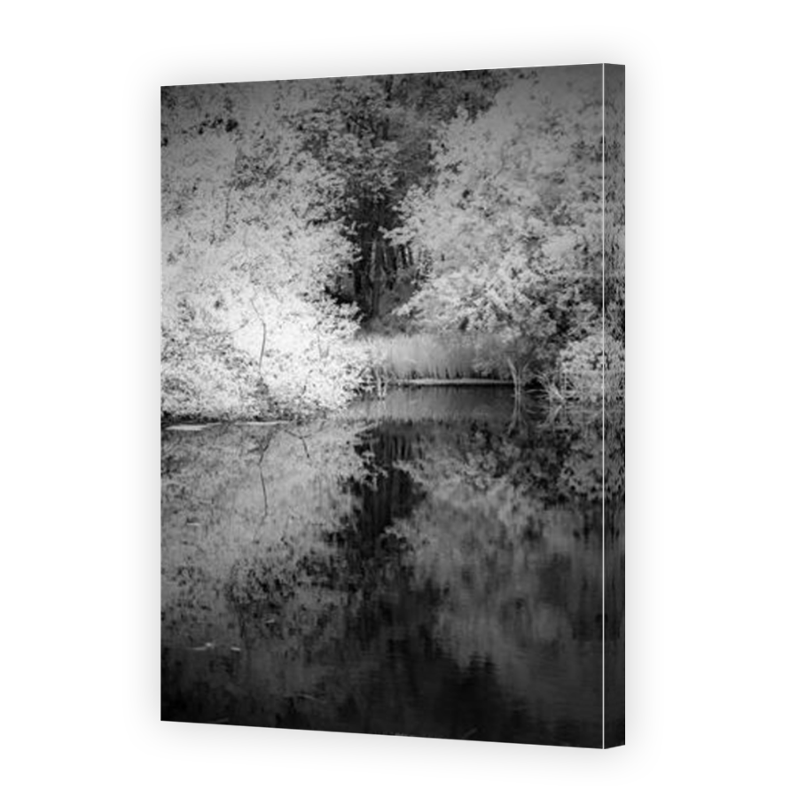 Thumbnail for Canvas - Mirror Image Canvas Wrap