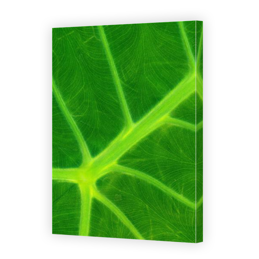 Thumbnail for Canvas - Mirror Image Canvas Wrap