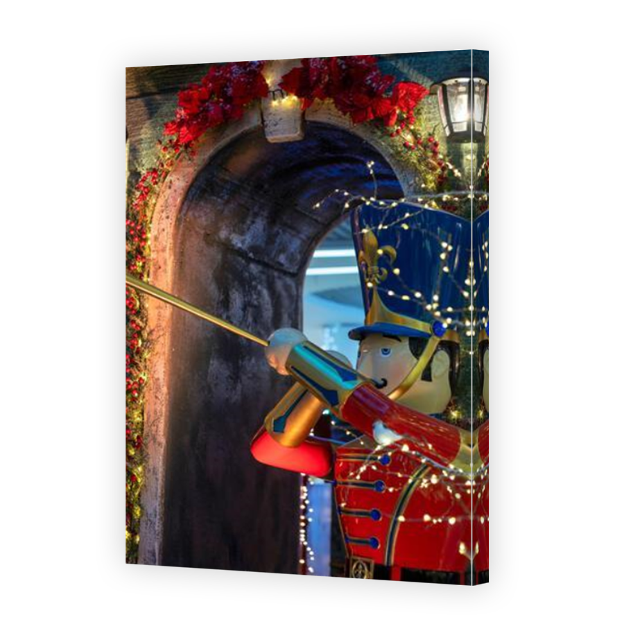 Thumbnail for Canvas - Mirror Image Canvas Wrap
