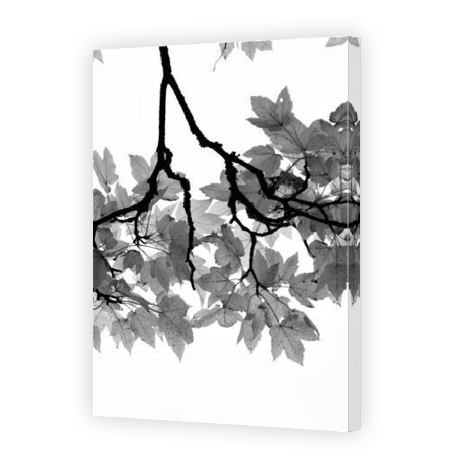Thumbnail for Canvas - Mirror Image Canvas Wrap