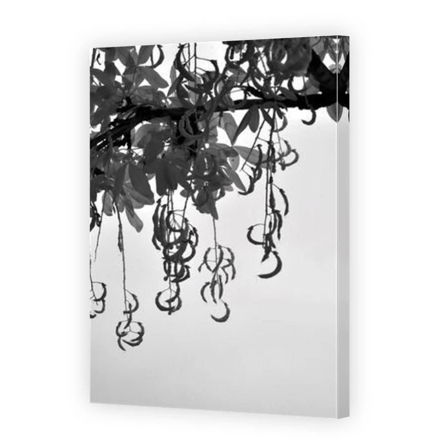Thumbnail for Canvas - Mirror Image Canvas Wrap