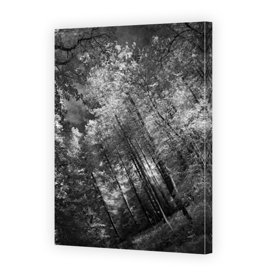 Thumbnail for Canvas - Mirror Image Canvas Wrap