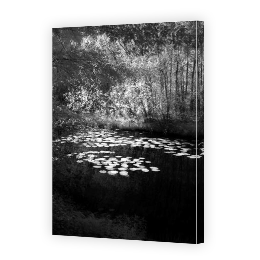Thumbnail for Canvas - Mirror Image Canvas Wrap