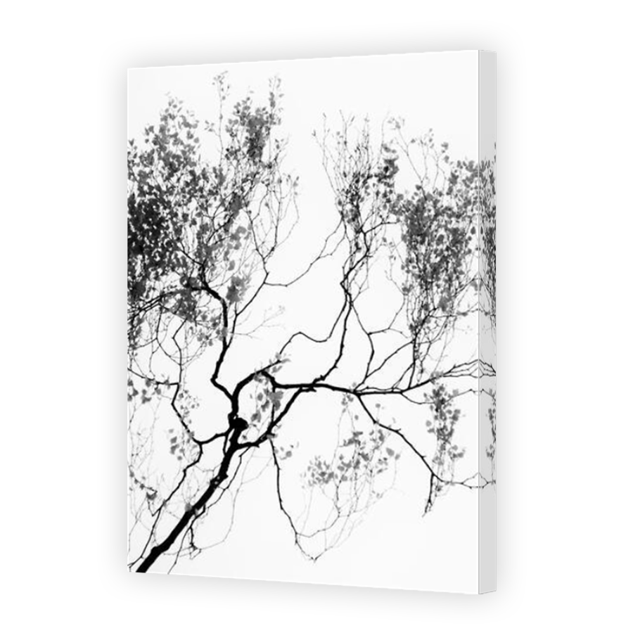 Thumbnail for Canvas - Mirror Image Canvas Wrap