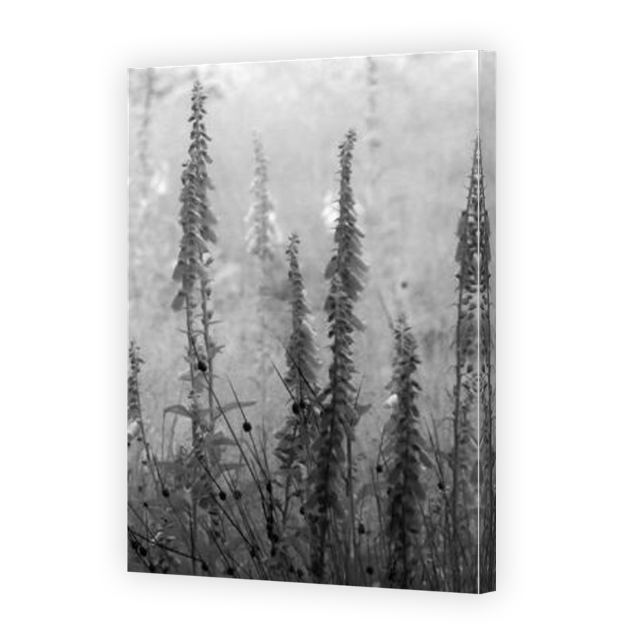 Thumbnail for Canvas - Mirror Image Canvas Wrap