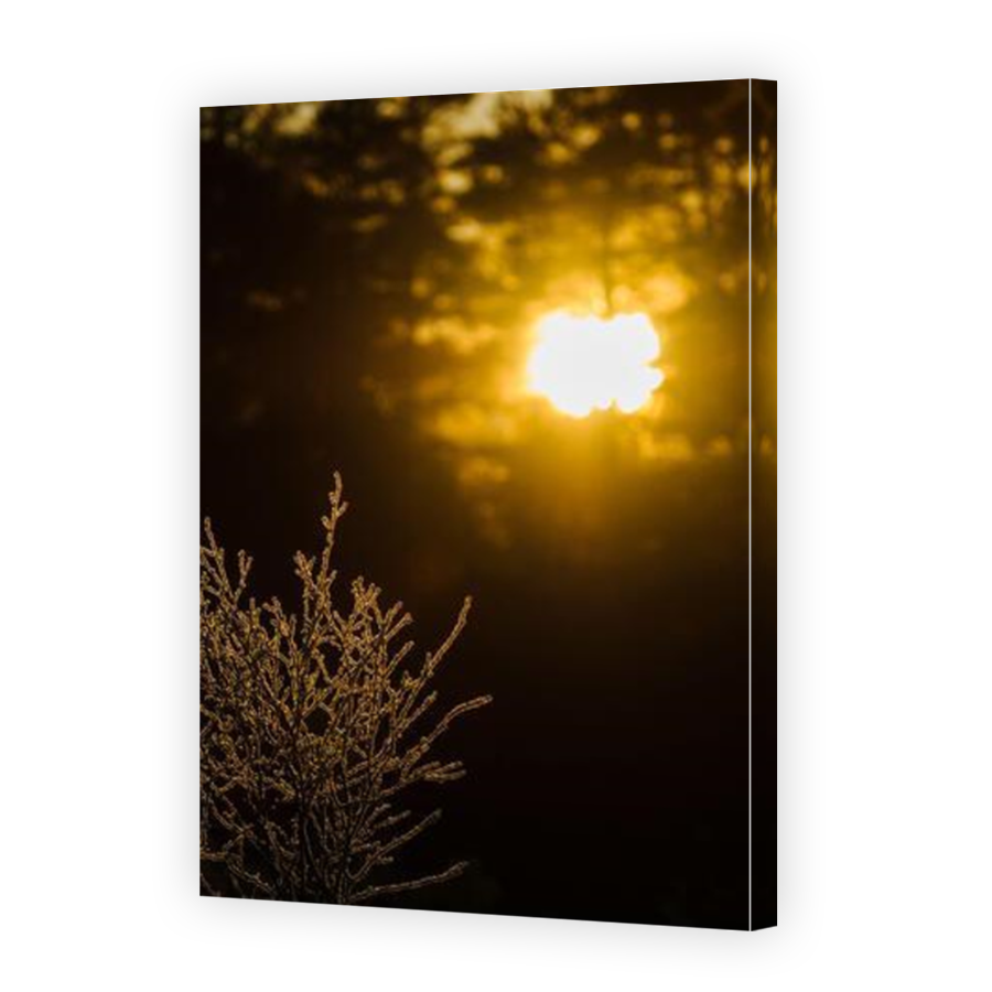 Thumbnail for Canvas - Mirror Image Canvas Wrap