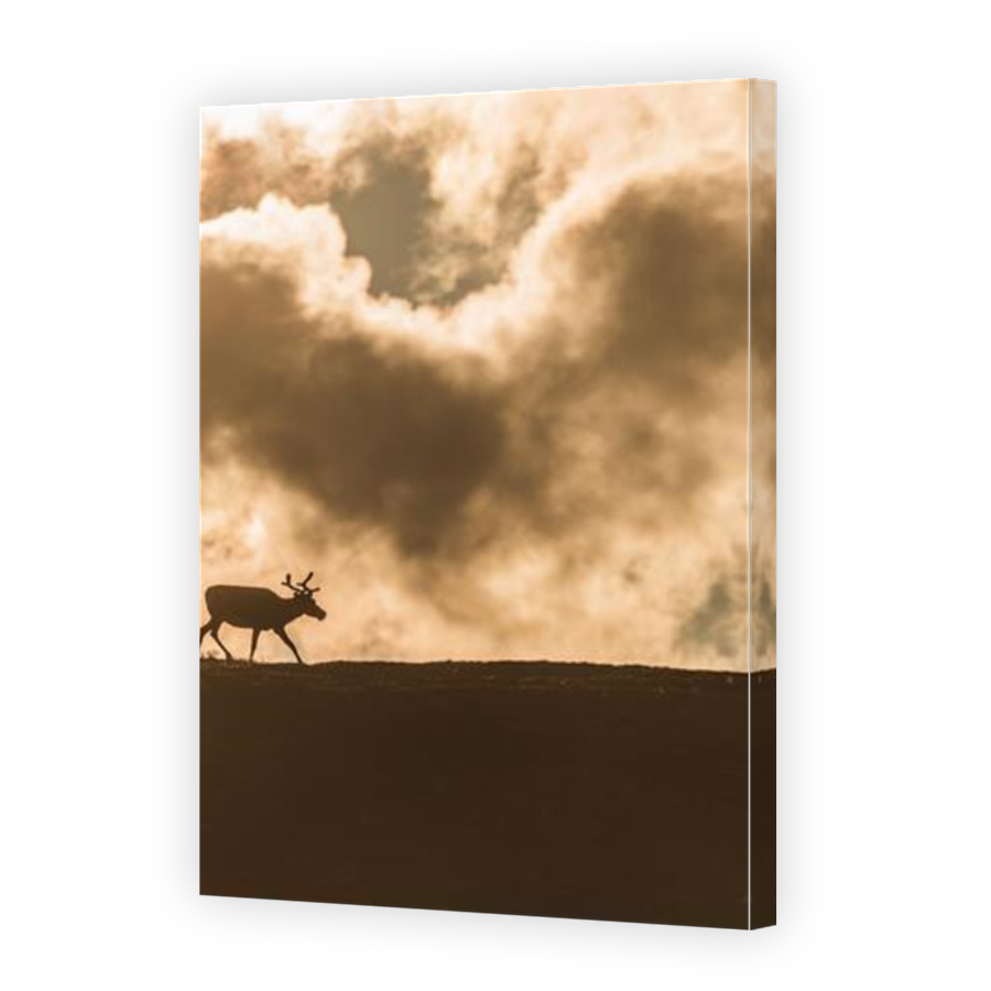 Thumbnail for Canvas - Mirror Image Canvas Wrap