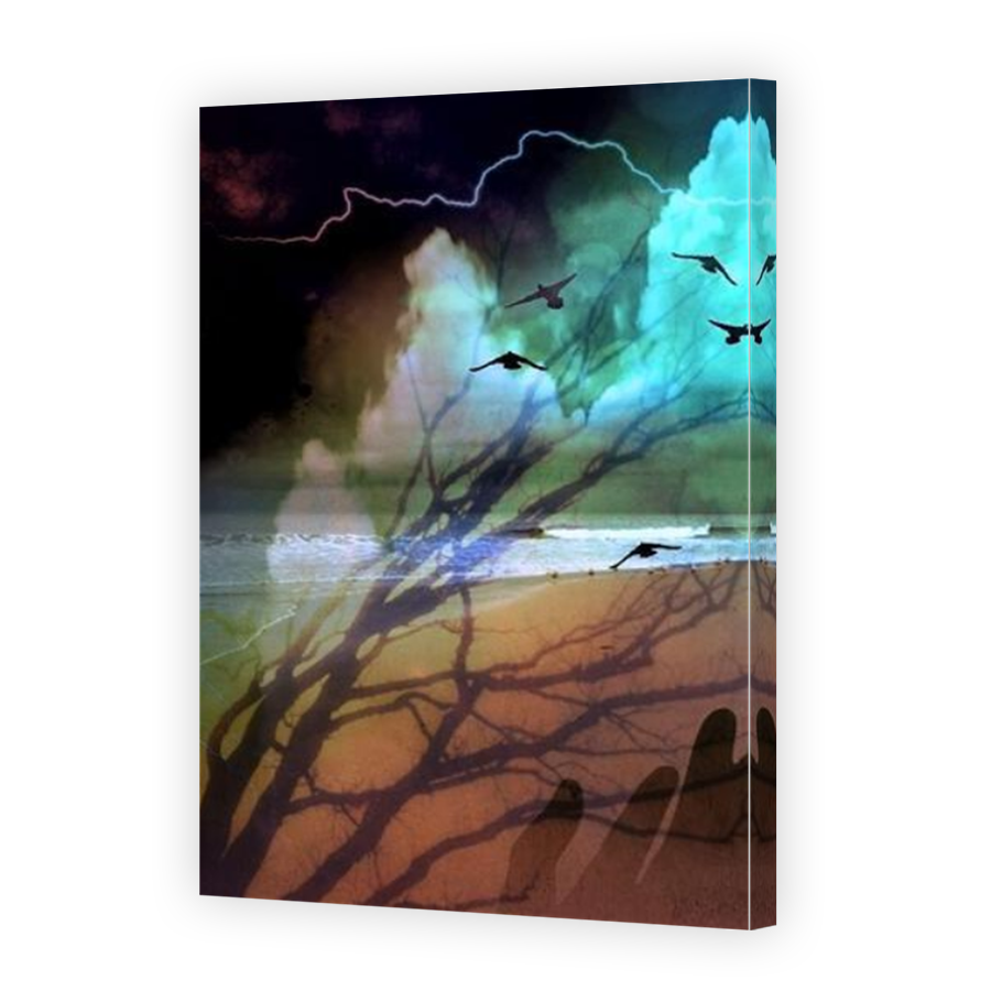 Thumbnail for Canvas - Mirror Image Canvas Wrap