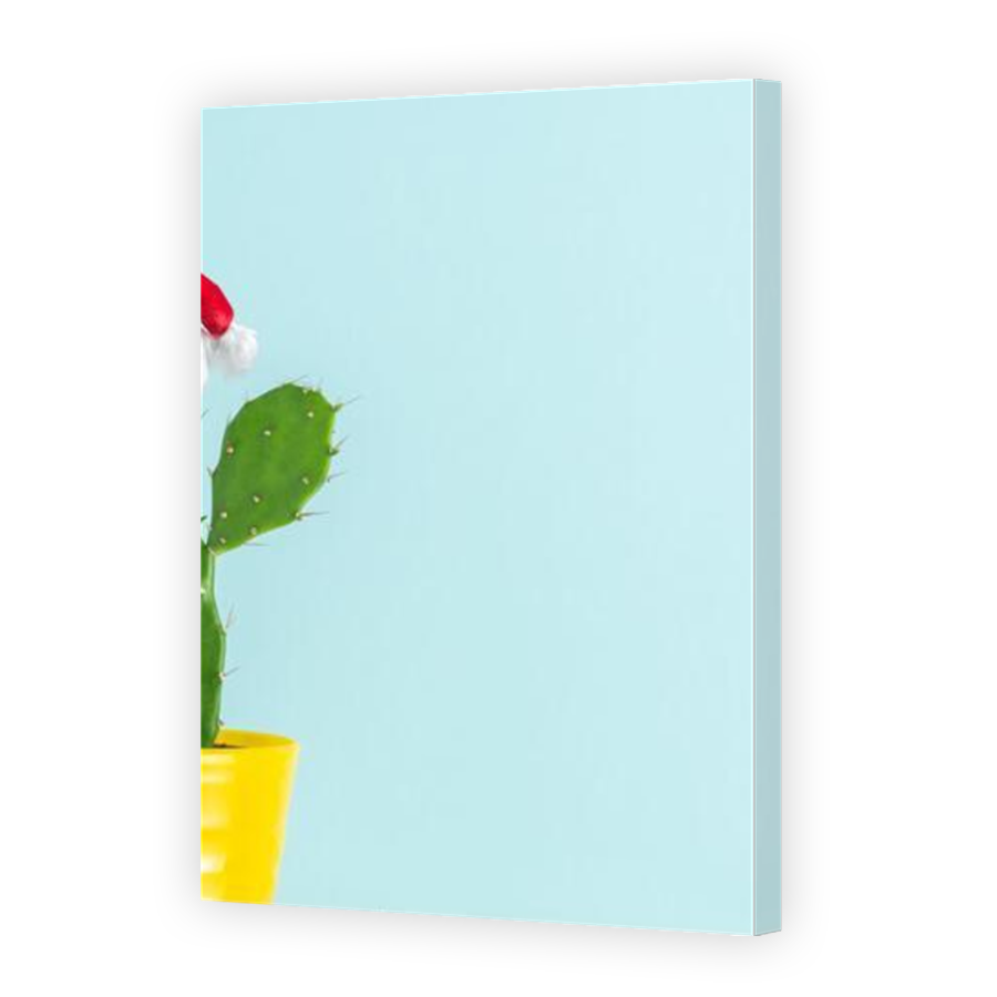 Thumbnail for Canvas - Mirror Image Canvas Wrap