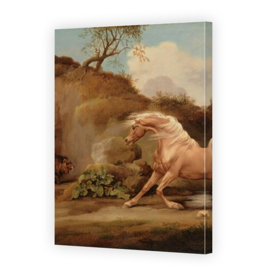 Thumbnail for Canvas - Mirror Image Canvas Wrap
