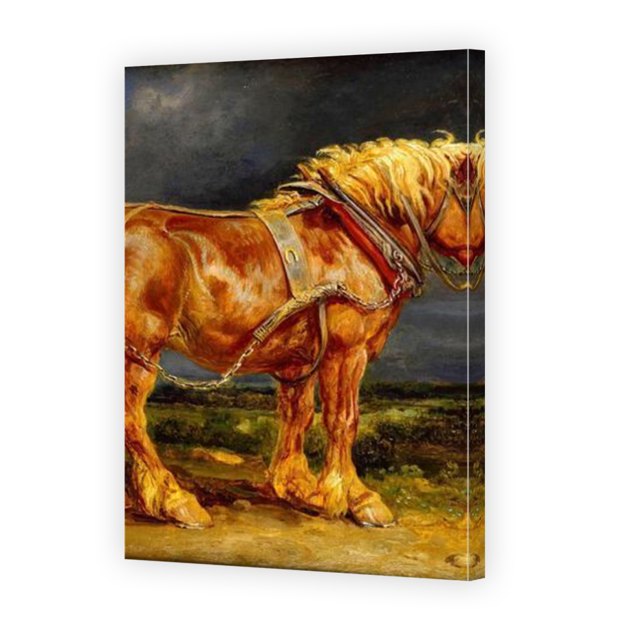 Thumbnail for Canvas - Mirror Image Canvas Wrap