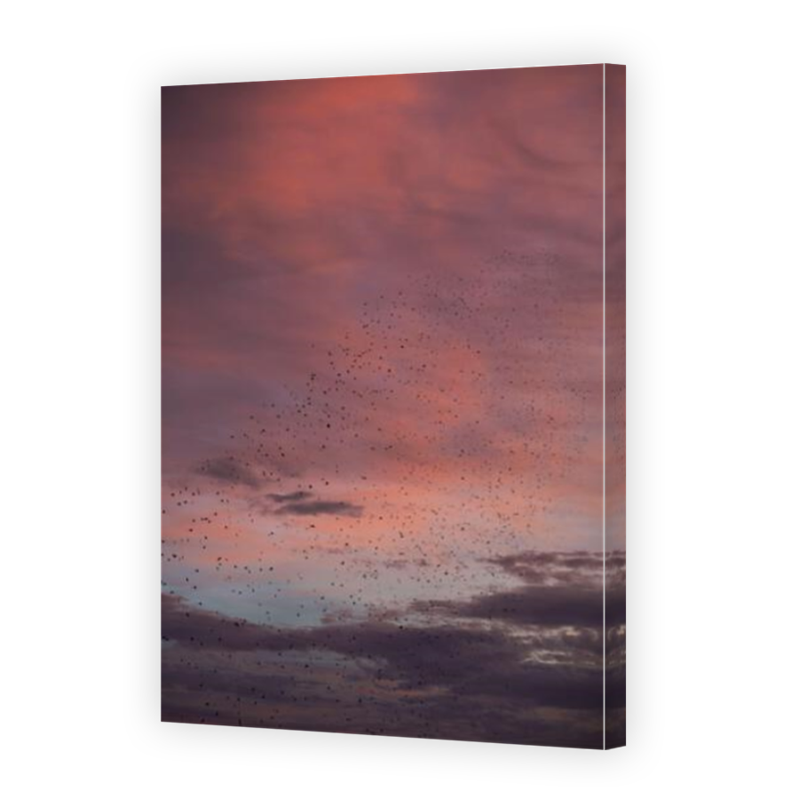 Thumbnail for Canvas - Mirror Image Canvas Wrap