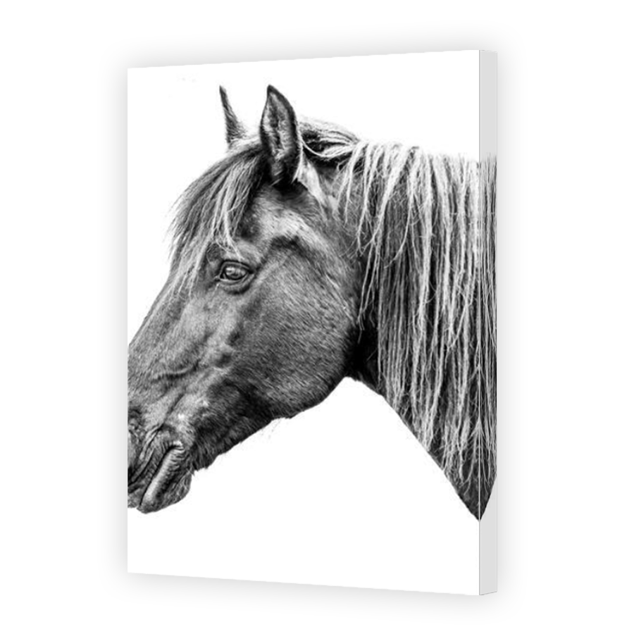 Thumbnail for Canvas - Mirror Image Canvas Wrap