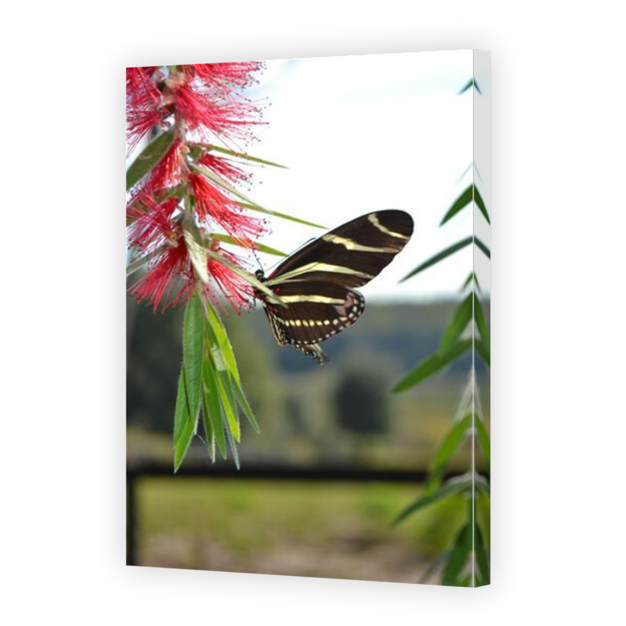 Thumbnail for Canvas - Mirror Image Canvas Wrap