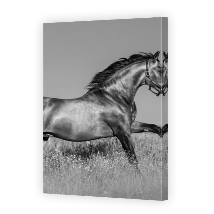 Thumbnail for Canvas - Mirror Image Canvas Wrap