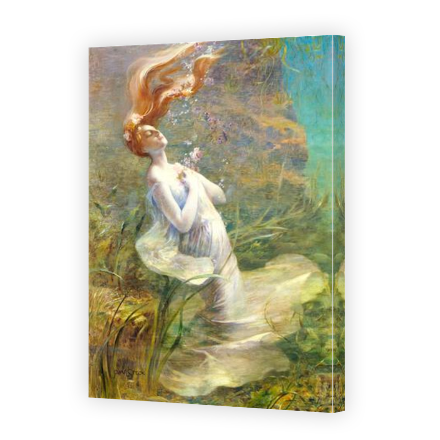 Thumbnail for Canvas - Mirror Image Canvas Wrap