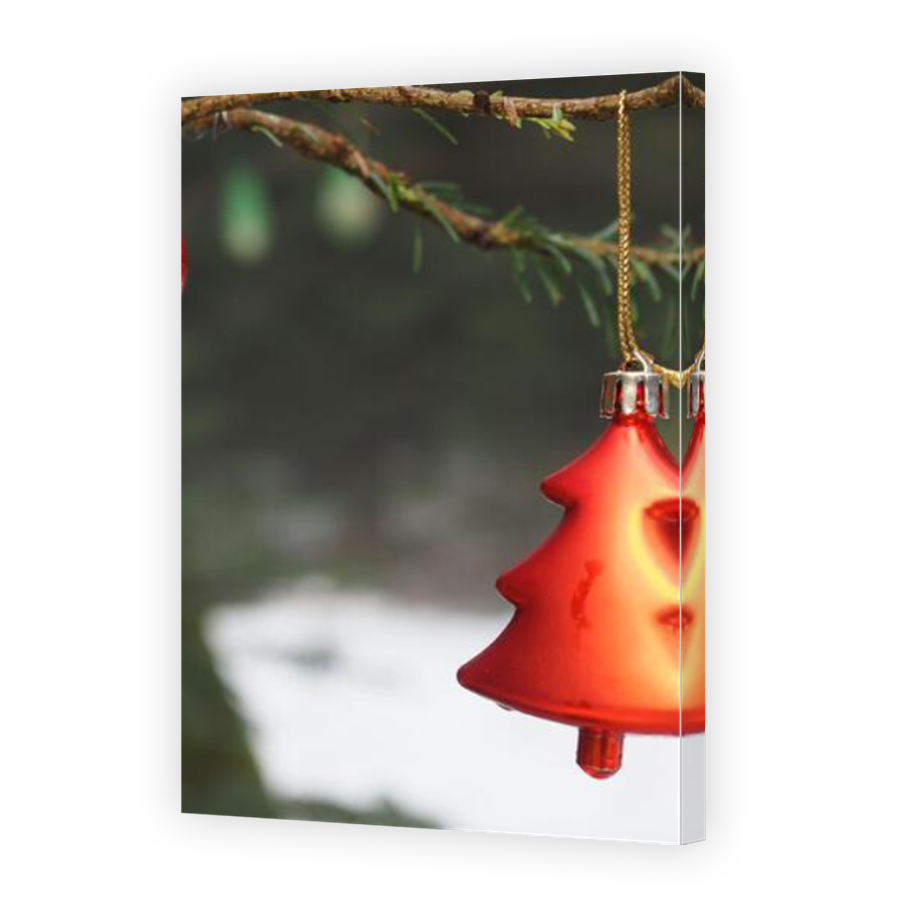 Thumbnail for Canvas - Mirror Image Canvas Wrap
