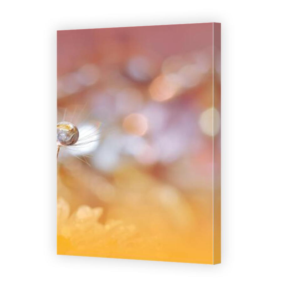 Thumbnail for Canvas - Mirror Image Canvas Wrap