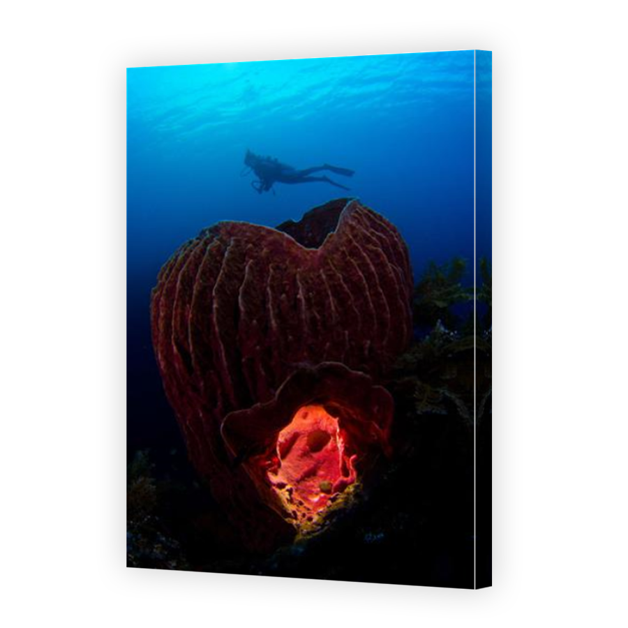 Thumbnail for Canvas - Mirror Image Canvas Wrap