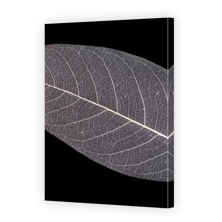Thumbnail for Canvas - Mirror Image Canvas Wrap