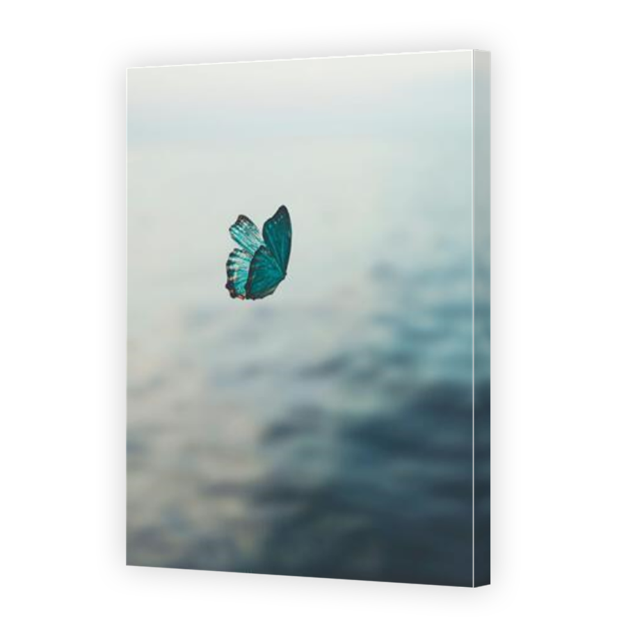 Thumbnail for Canvas - Mirror Image Canvas Wrap