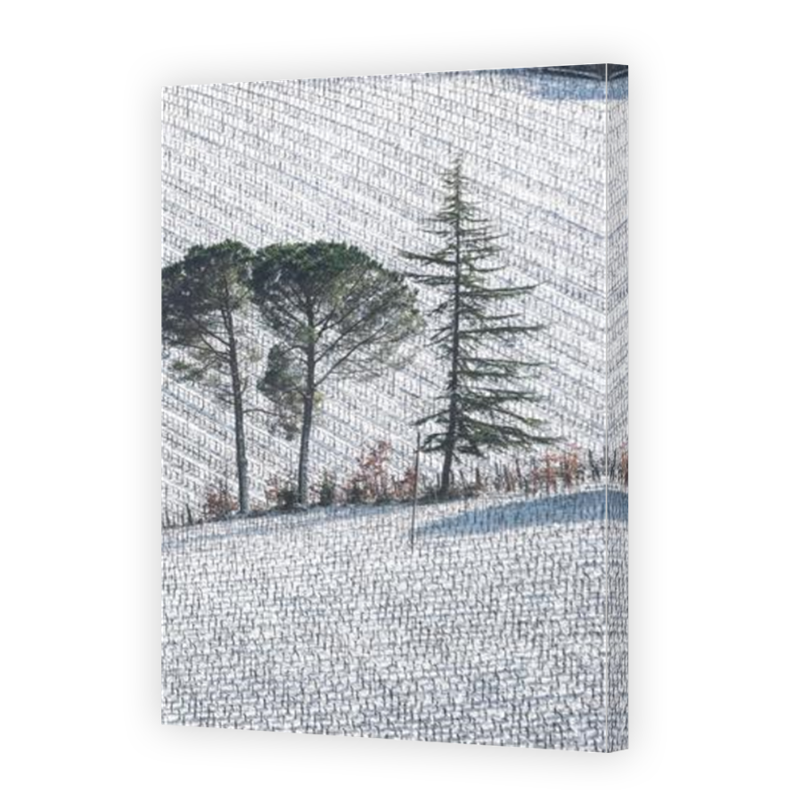Thumbnail for Canvas - Mirror Image Canvas Wrap