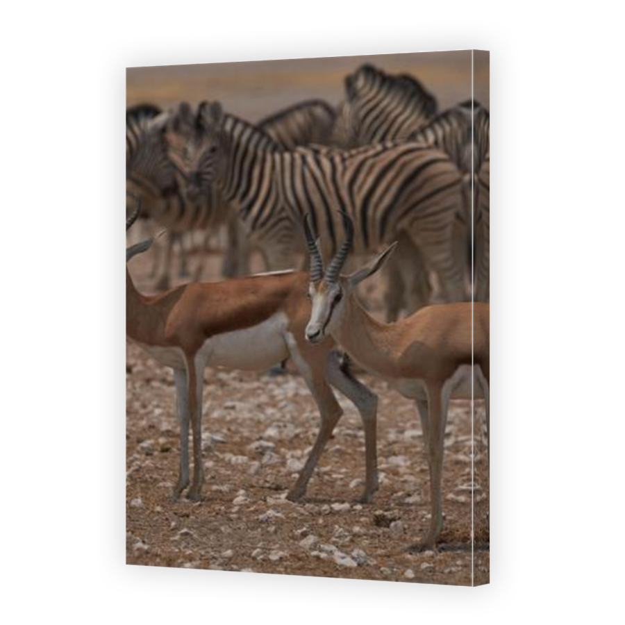Thumbnail for Canvas - Mirror Image Canvas Wrap