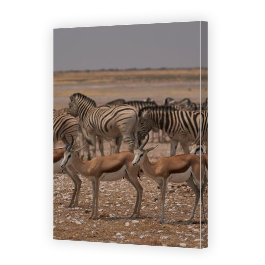 Thumbnail for Canvas - Mirror Image Canvas Wrap