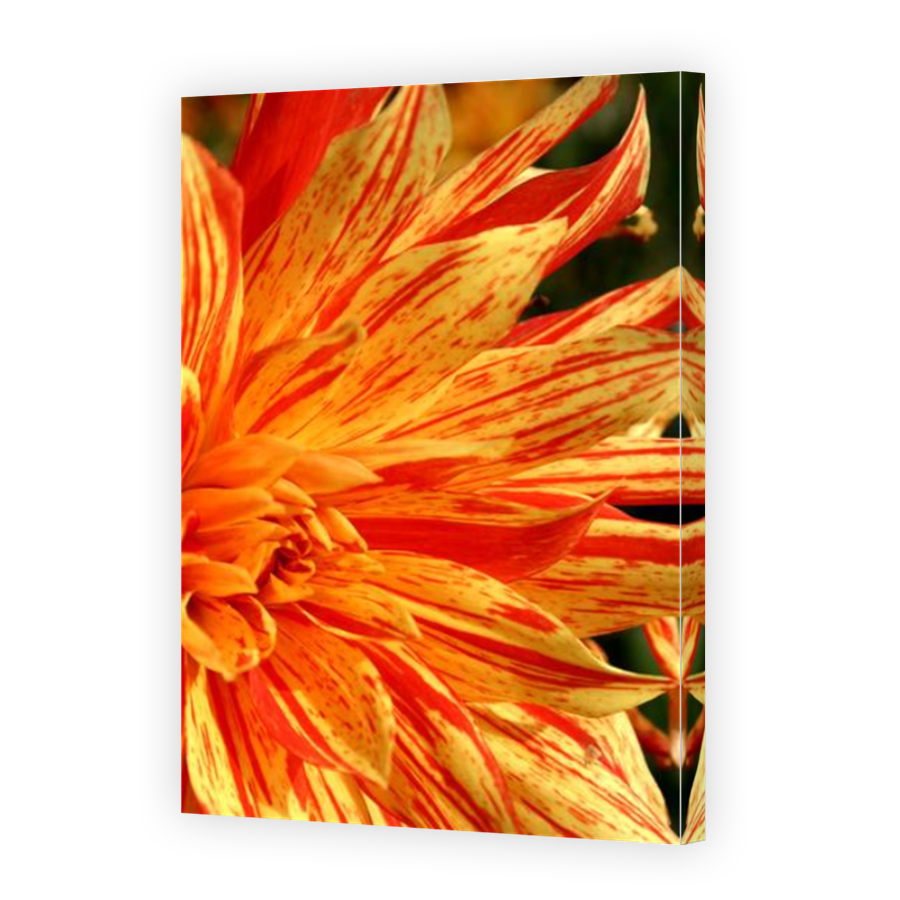Thumbnail for Canvas - Mirror Image Canvas Wrap