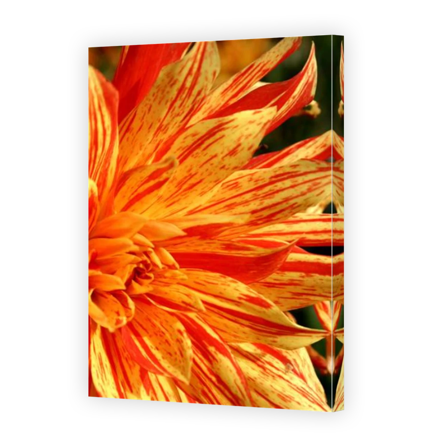Thumbnail for Canvas - Mirror Image Canvas Wrap